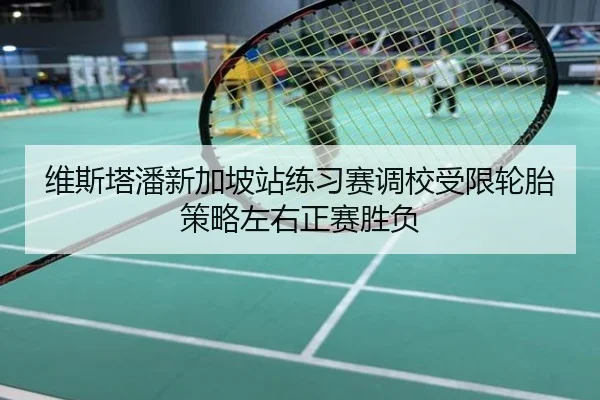维斯塔潘新加坡站练习赛调校受限轮胎策略左右正赛胜负